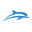 Delfina Swimwear logo